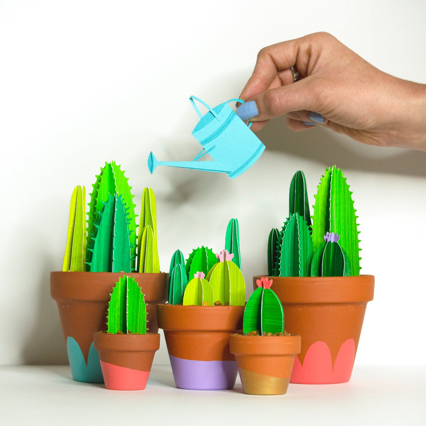 Cute 3D paper cacti in  terracotta pots showing all size option.