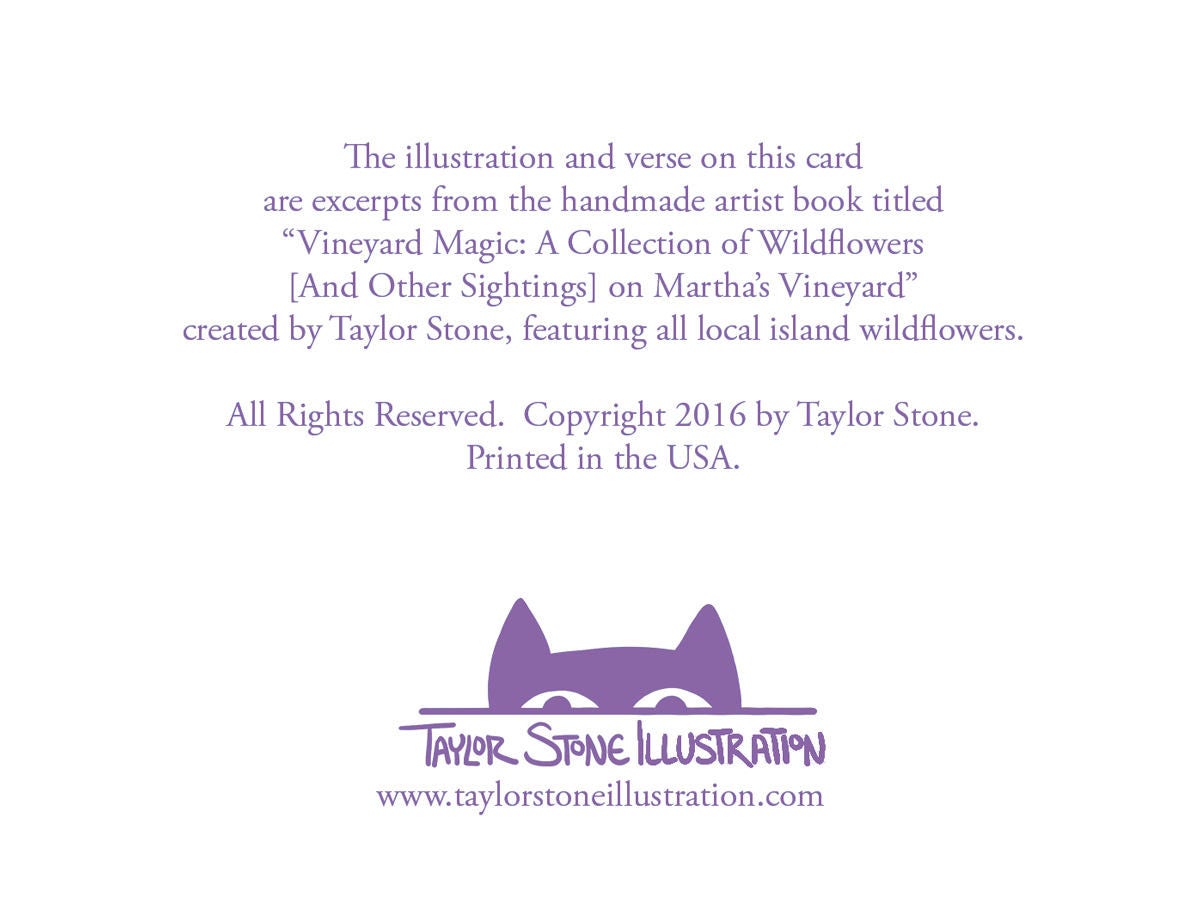 Back side of greeting card includes information about the collection and the artist; Taylor Stone Illustration.