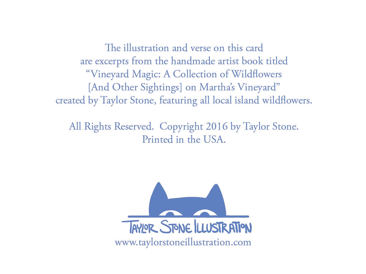 Back side of greeting card includes information about the collection and the artist; Taylor Stone Illustration.