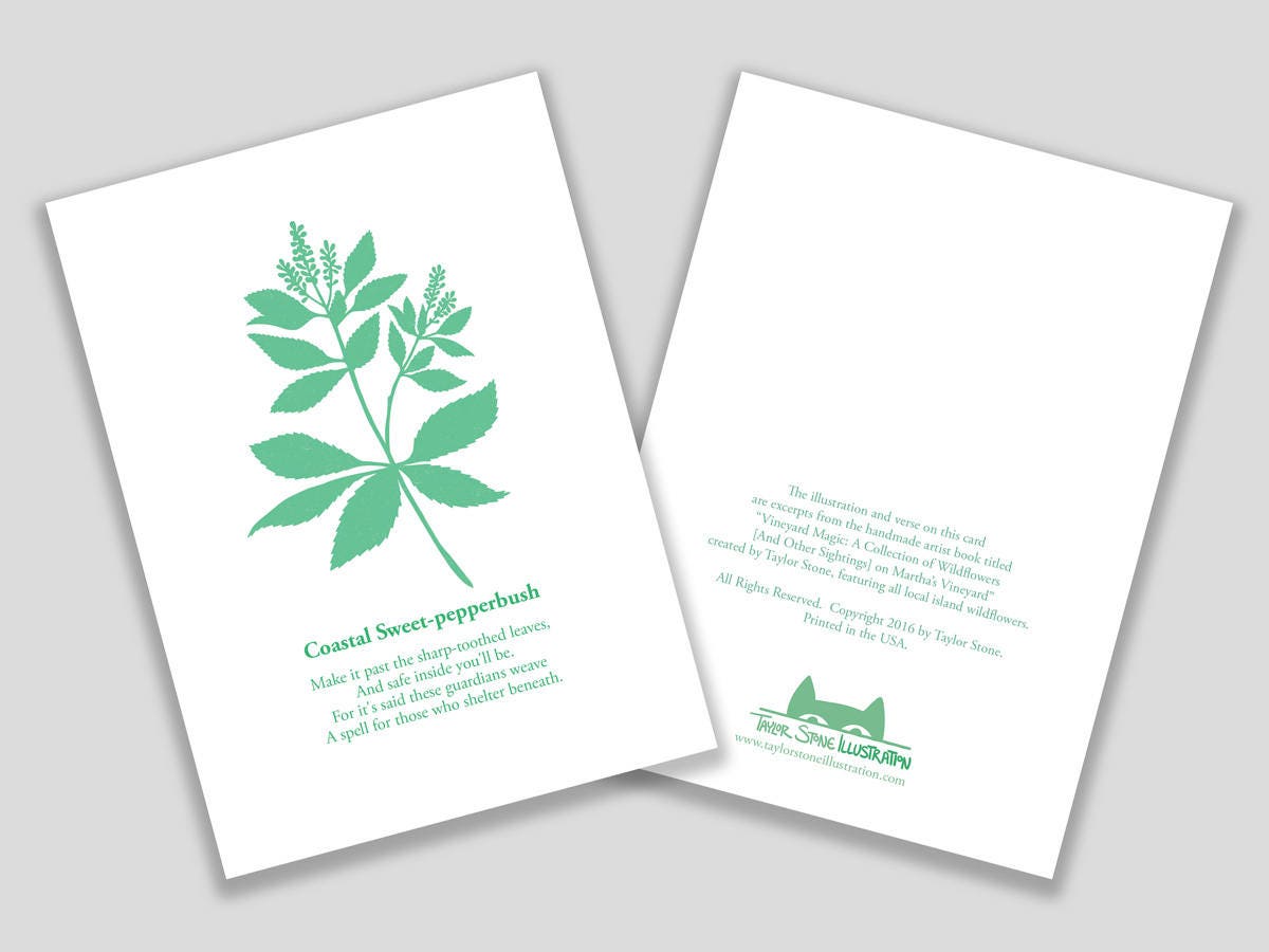 Greeting card with purple cut paper illustration of Coastal Sweet-pepperbush, and a short original poem.