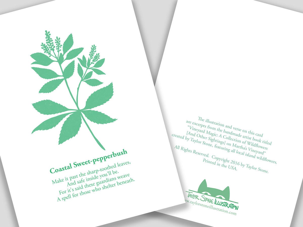 Greeting card with purple cut paper illustration of Coastal Sweet-pepperbush, and a short original poem.