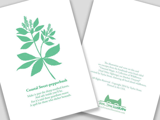 Greeting card with purple cut paper illustration of Coastal Sweet-pepperbush, and a short original poem.