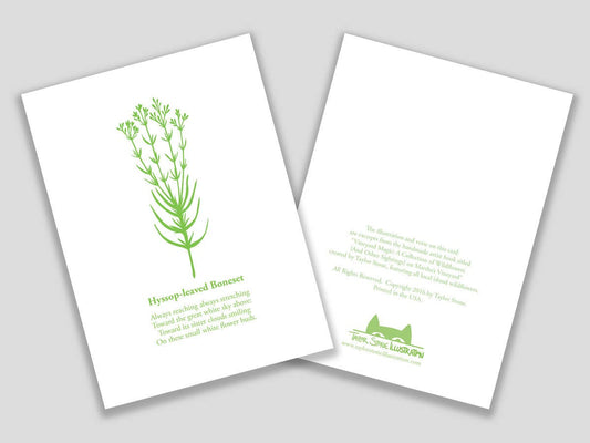 Greeting card with green cut paper illustration of Hyssop-leaved Baneset, and a short original poem.