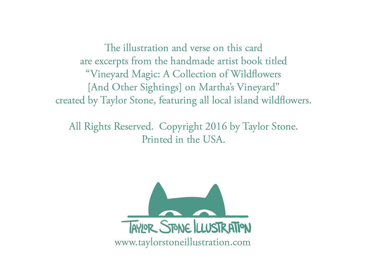 Back side of greeting card includes information about the collection and the artist; Taylor Stone Illustration.