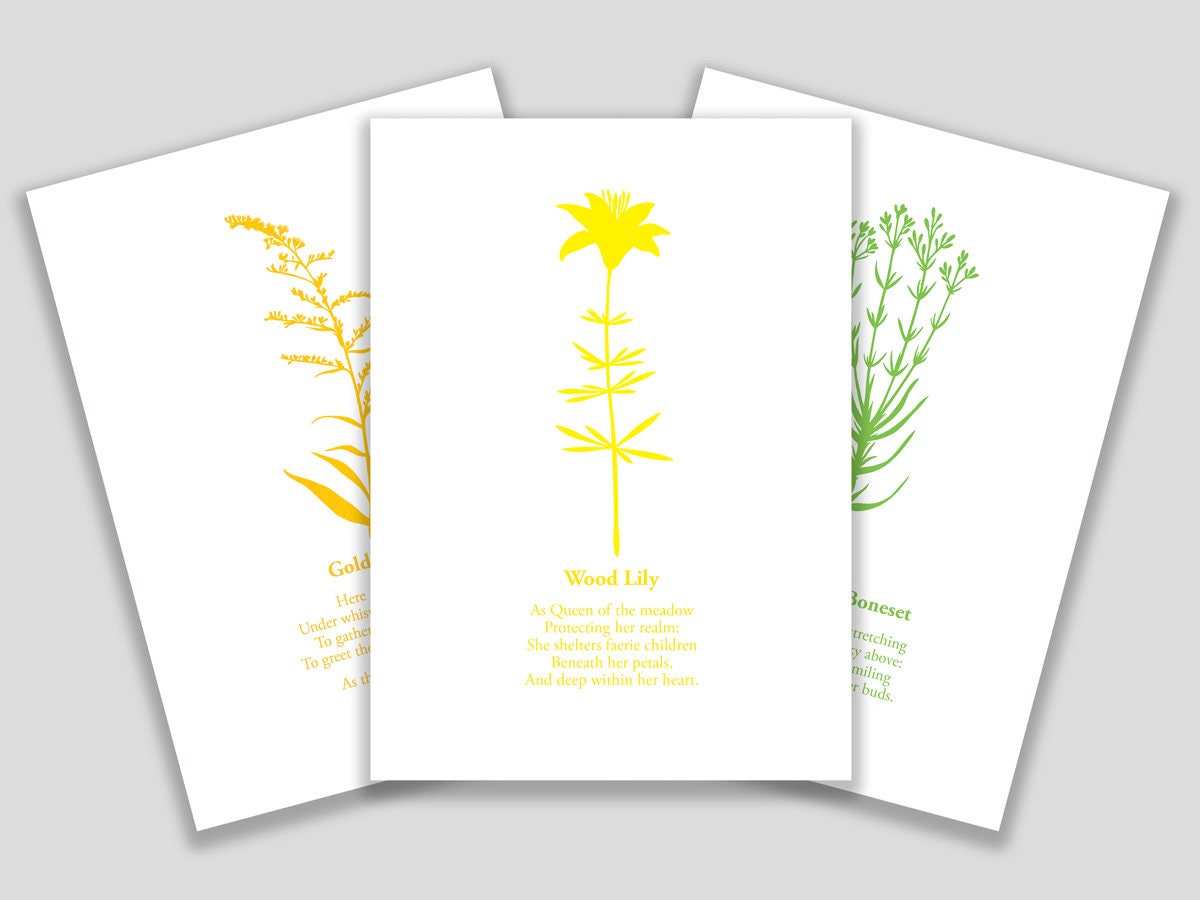 Set of ten blank greeting cards featuring cut paper illustrations of various Martha's Vineyard wildflowers accompanied by a short poem on each.