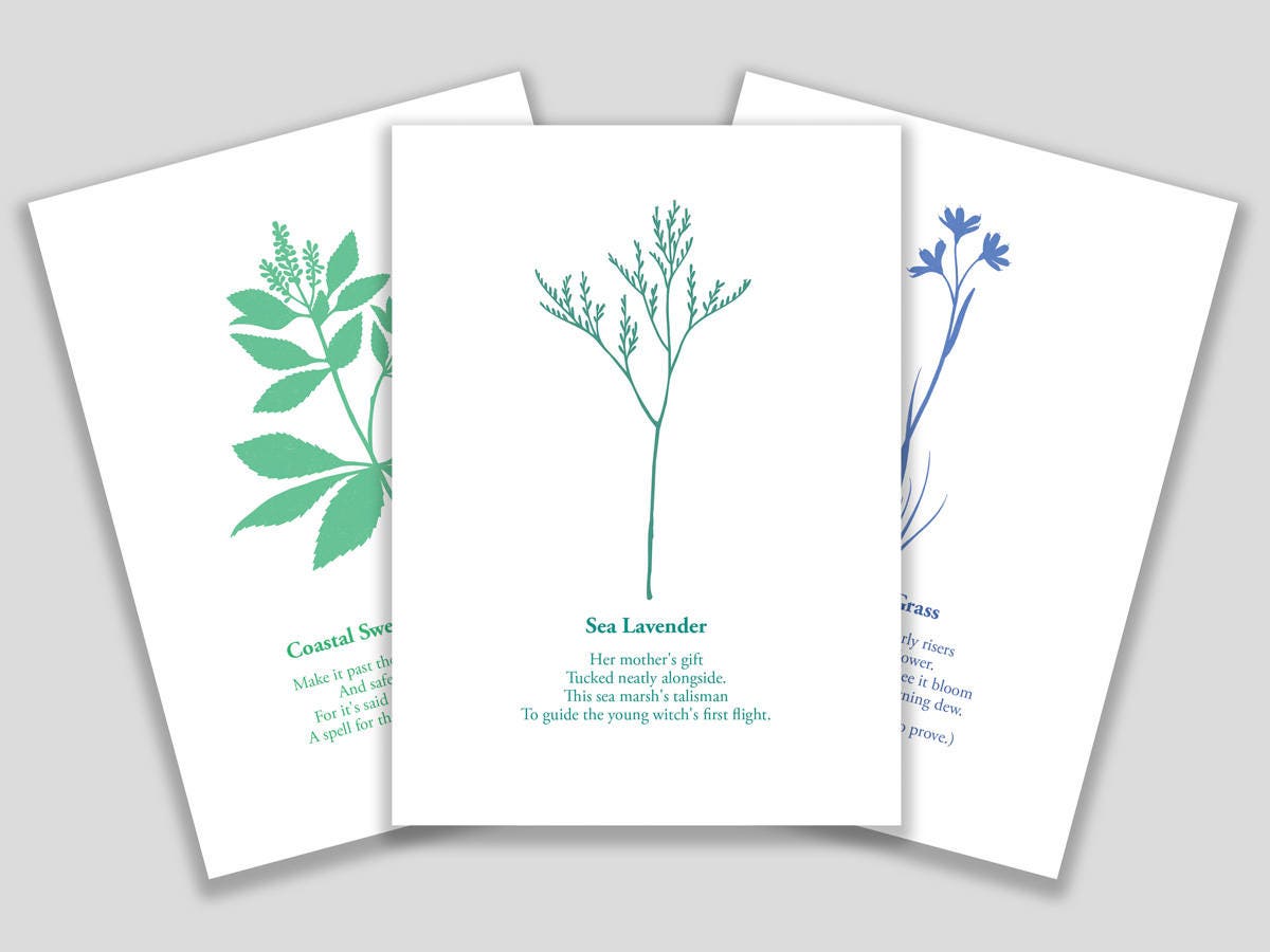 Set of ten blank greeting cards featuring cut paper illustrations of various Martha's Vineyard wildflowers accompanied by a short poem on each.