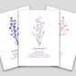 Set of ten blank greeting cards featuring cut paper illustrations of various Martha's Vineyard wildflowers accompanied by a short poem on each.