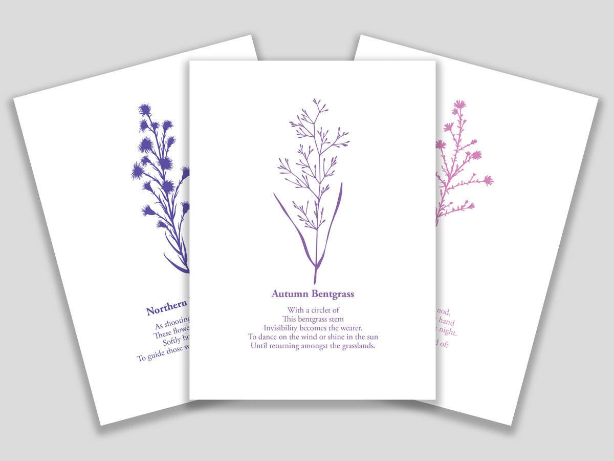 Set of ten blank greeting cards featuring cut paper illustrations of various Martha's Vineyard wildflowers accompanied by a short poem on each.