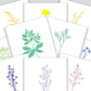 Set of ten blank greeting cards featuring cut paper illustrations of various Martha's Vineyard wildflowers accompanied by a short poem on each.