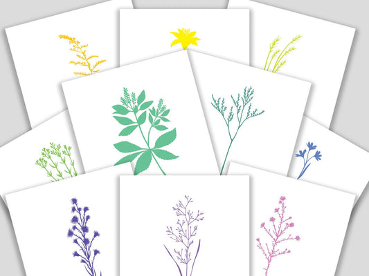 Set of ten blank greeting cards featuring cut paper illustrations of various Martha's Vineyard wildflowers accompanied by a short poem on each.