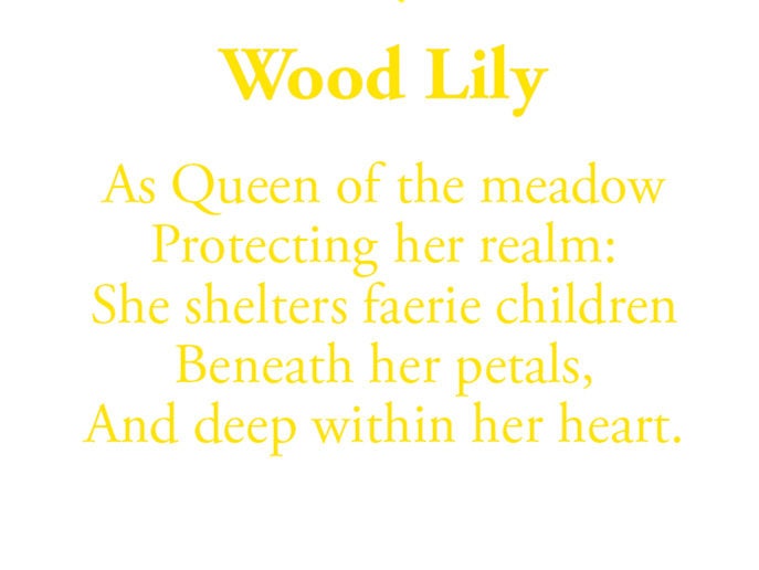 Wood Lily Flower Card with Poem