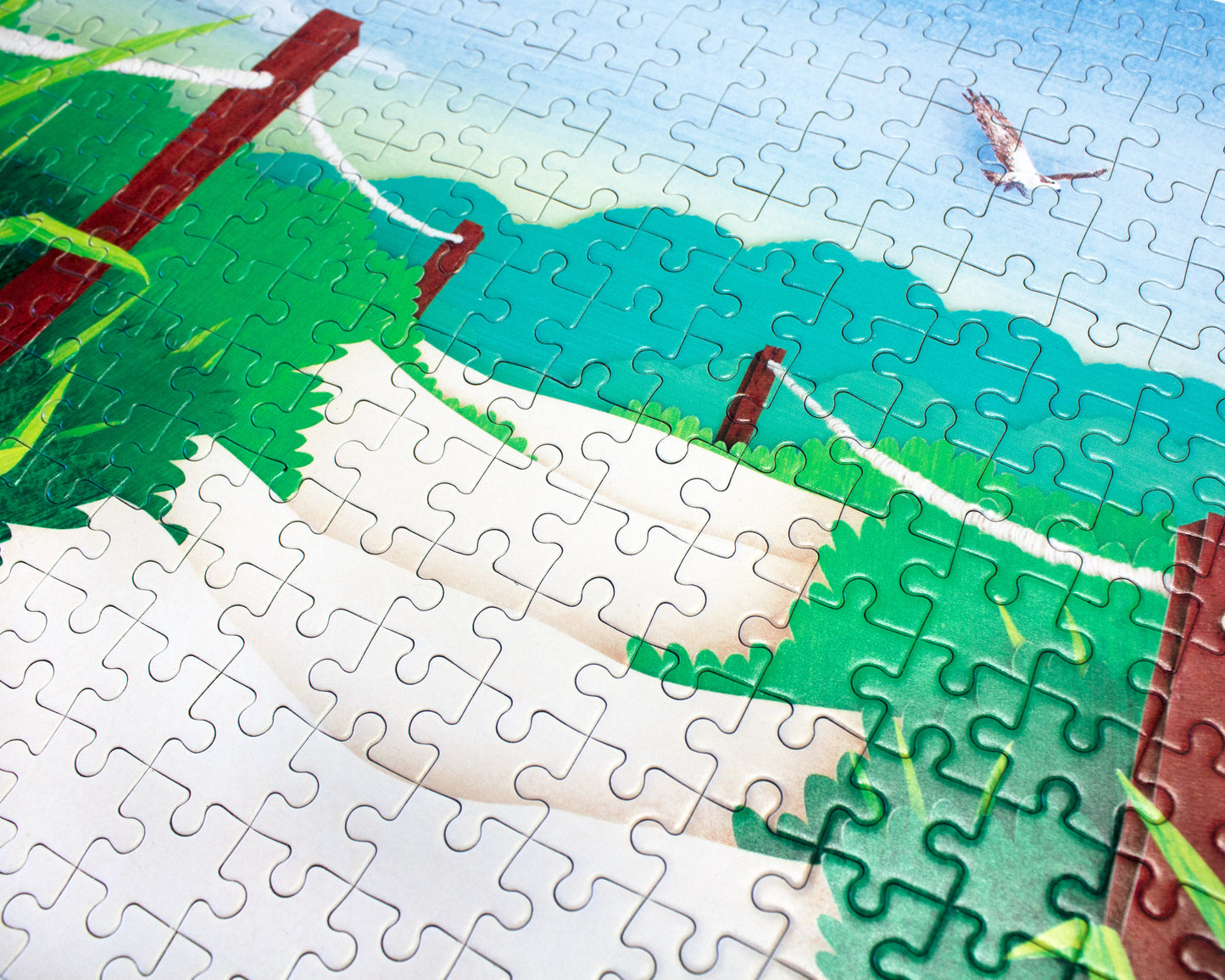 A Journey Home Puzzle
