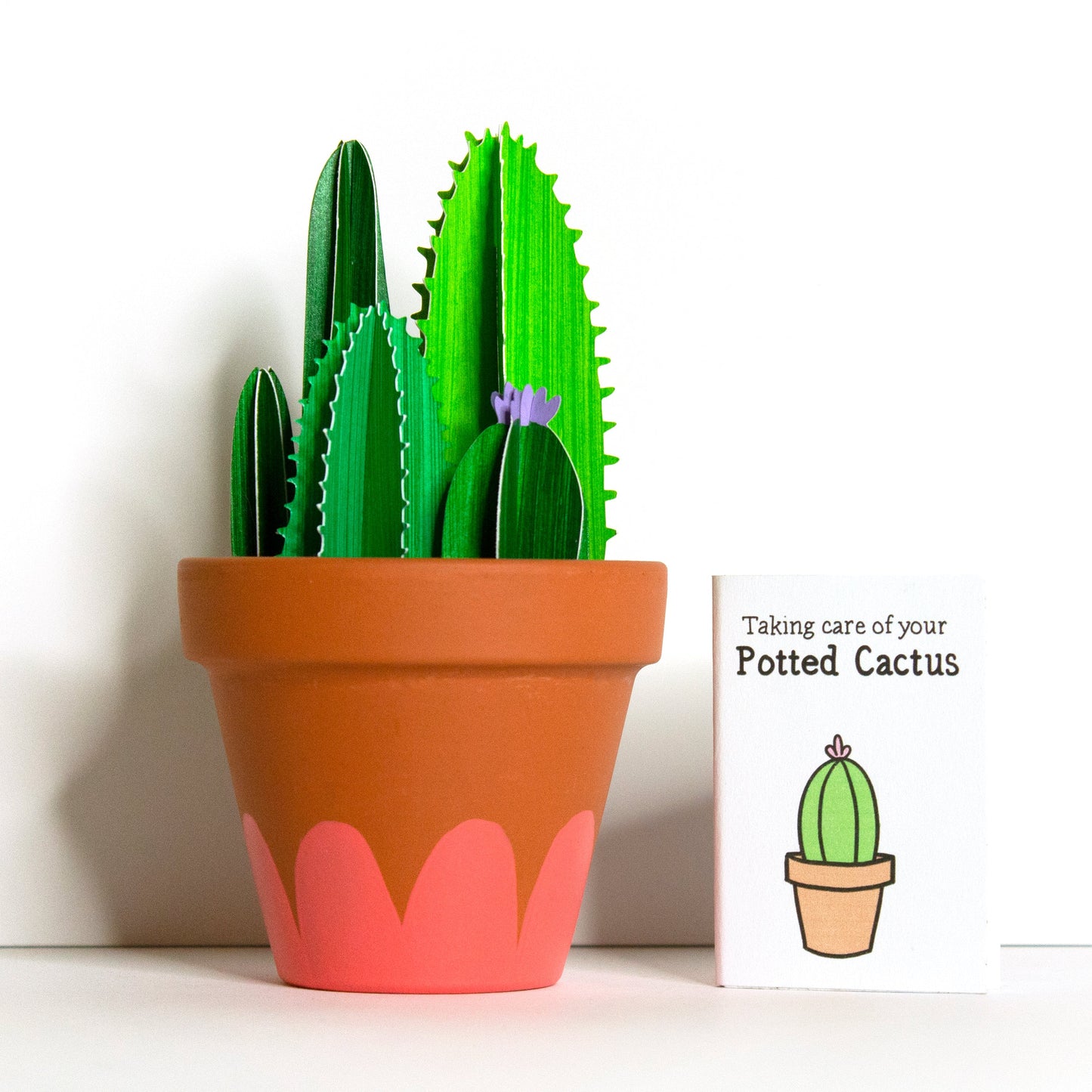 Cute bunch of green 3D paper cacti in terracotta pot with care instructions.