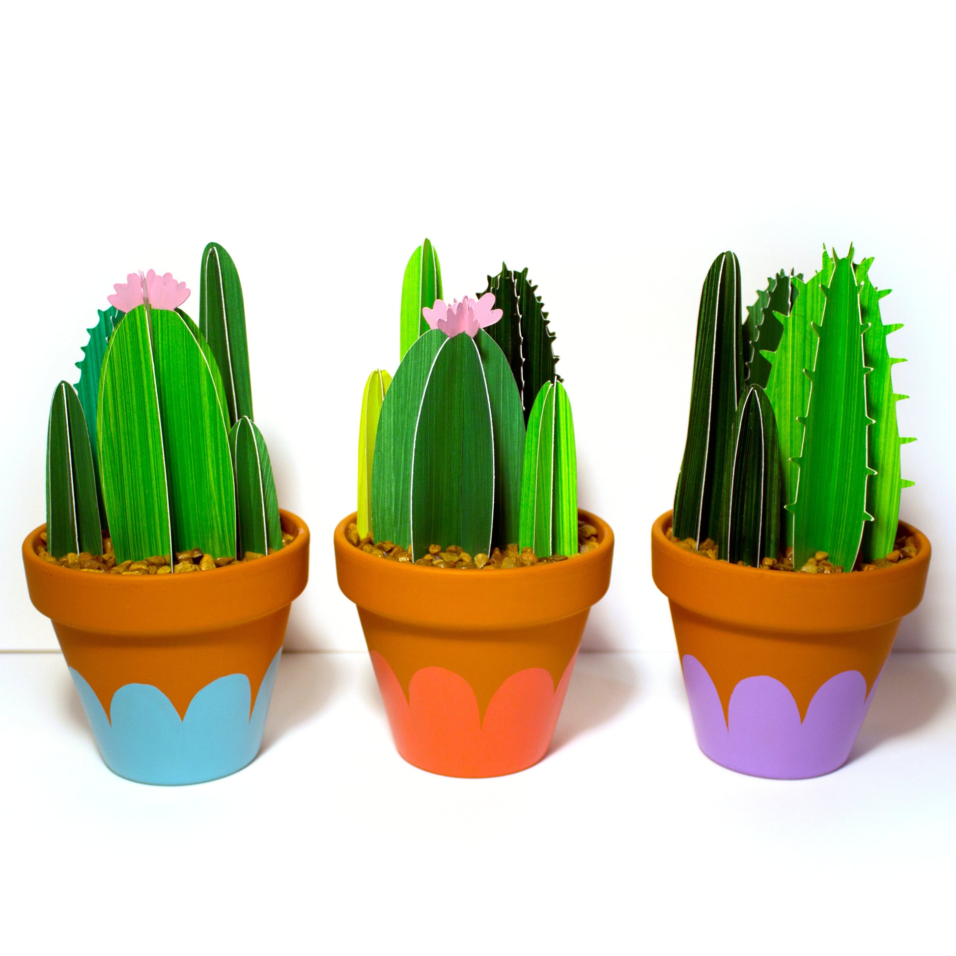 Trio of cute bunches of 3D paper cacti in terracotta pots.