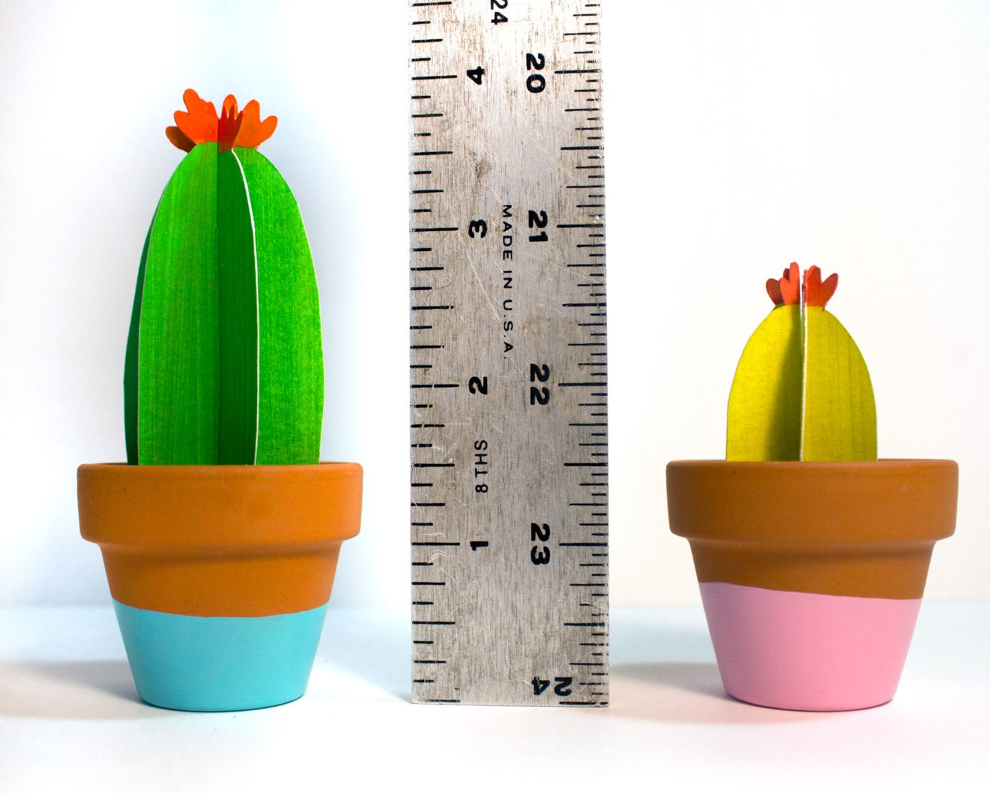 Cute single 3D paper blooming cacti in teracotta pots with ruler showing the heights ranging from 3-4 inches.