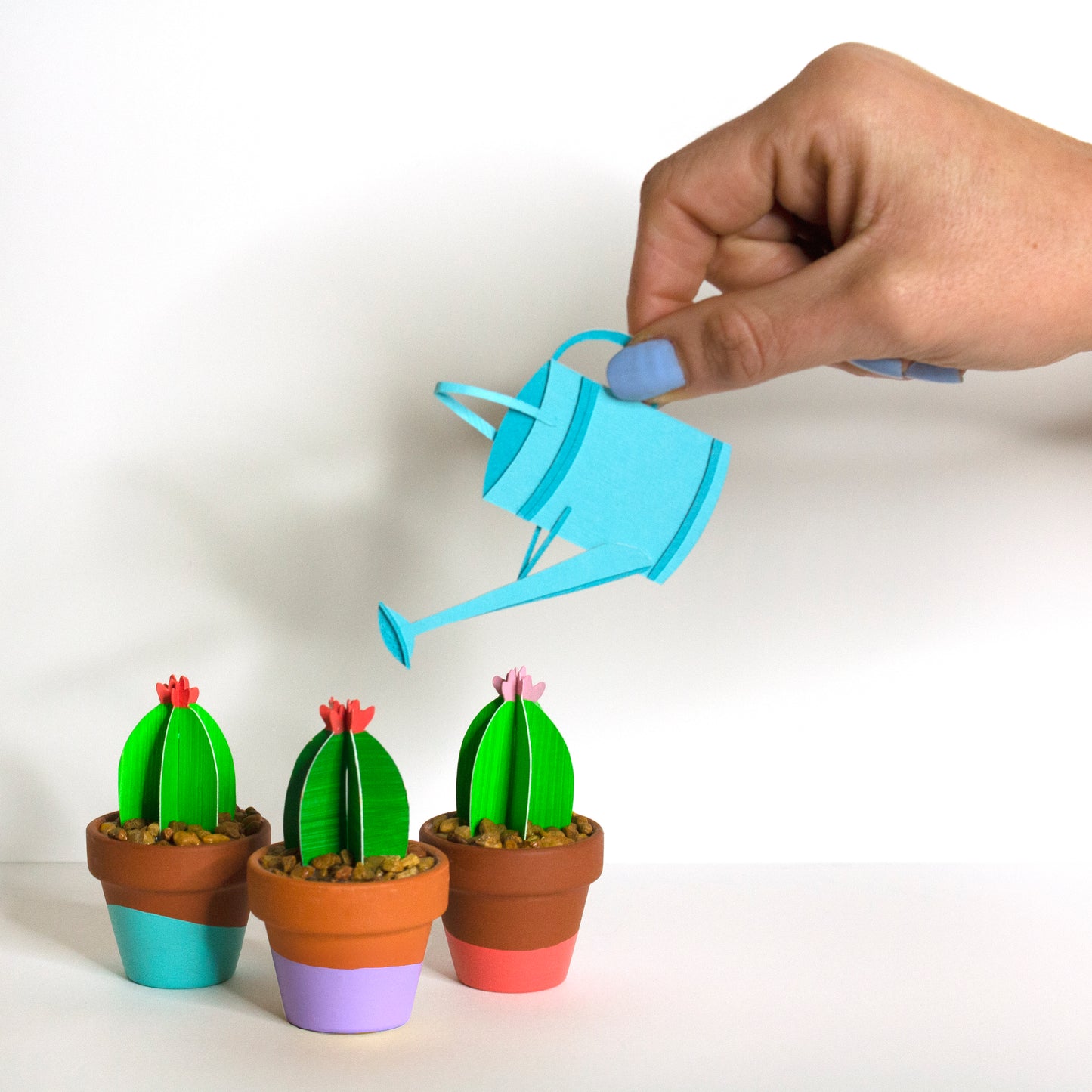 Trio of cute single 3D paper cacti in teracotta pots with blue paper watering can.