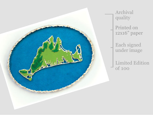 Archival print of topography map of Martha's Vineyard Island. 