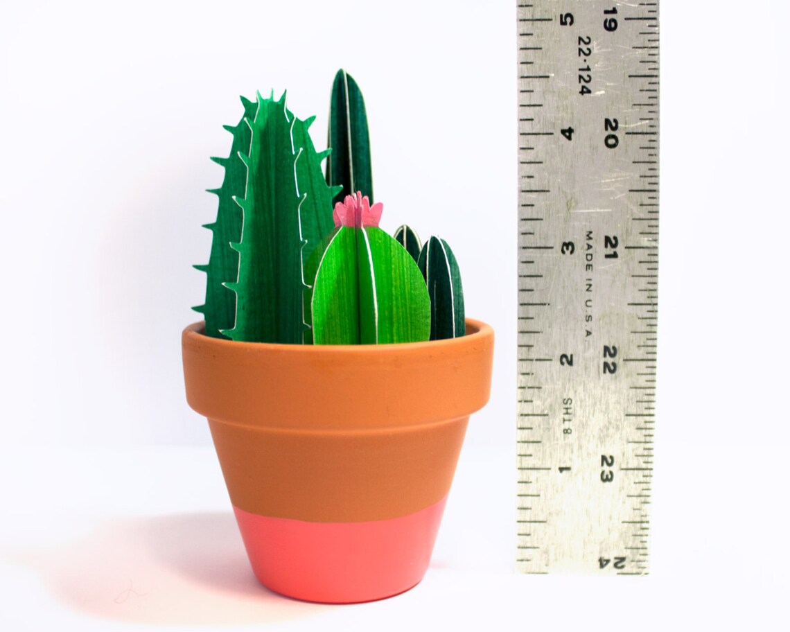 Paper Cacti Garden in Medium Pot