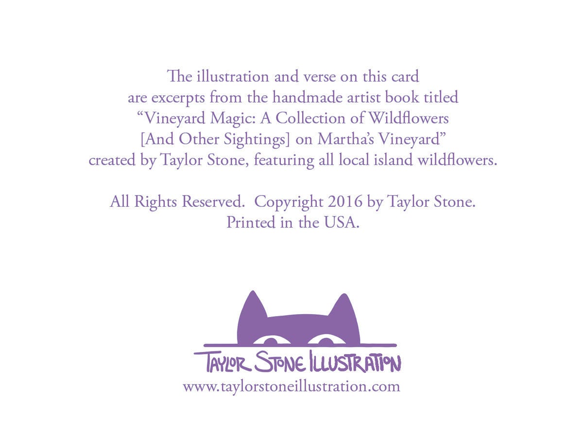 Back side of greeting card includes information about the collection and the artist; Taylor Stone Illustration. 