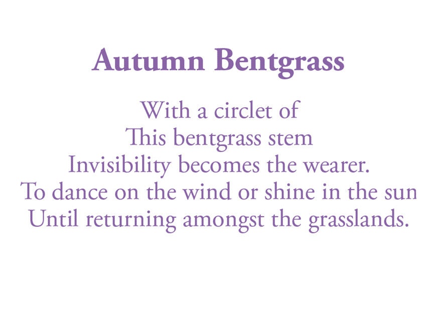 The poem on this card reads: With a circlet of This bentgrass stem Invisibility becomes the wearer. To dance on the wind or shine in the sun. Until returning amongst the grasslands.