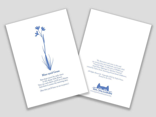 Greeting card with blue cut paper illustration of Blue-eyed Grass, and a short original poem.