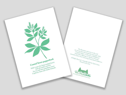Greeting card with purple cut paper illustration of Coastal Sweet-pepperbush, and a short original poem.