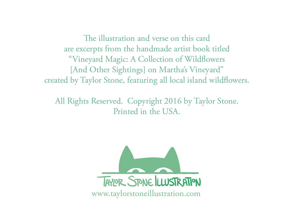 Back side of greeting card includes information about the collection and the artist; Taylor Stone Illustration.