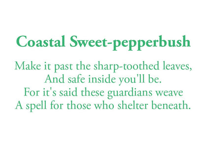 The poem on this card reads: Make it past the sharp-toothed leaves, And safe inside you'll be. For it's said these guardians weave A spell for those who shelter beneath. 