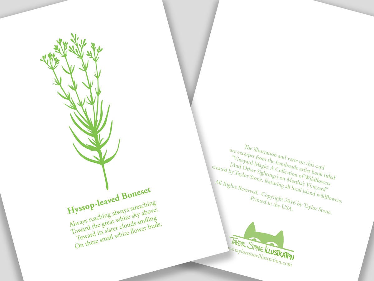 Greeting card with green cut paper illustration of Hyssop-leaved Baneset, and a short original poem.