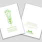 Greeting card with green cut paper illustration of Hyssop-leaved Baneset, and a short original poem.