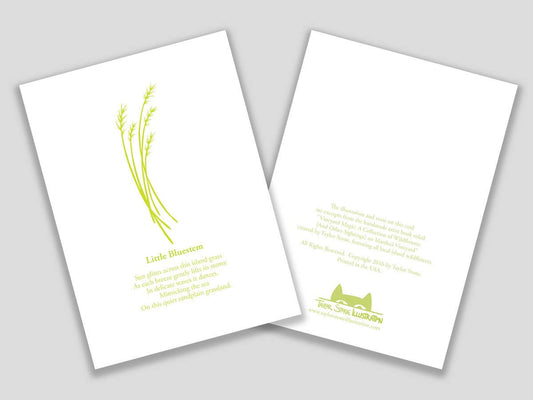 Greeting card with light green cut paper illustration of Little Bluestem, and a short original poem.
