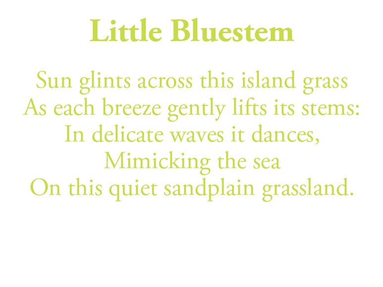 The poem on this card reads: Sun glints across this island grass As each breeze gently lifts its stems: In delicate waves it dances, Mimicking the sea On this quiet sandplain grassland.