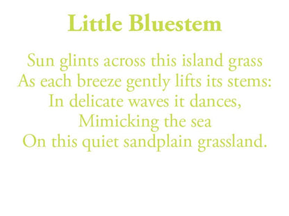 The poem on this card reads: Sun glints across this island grass As each breeze gently lifts its stems: In delicate waves it dances, Mimicking the sea On this quiet sandplain grassland.