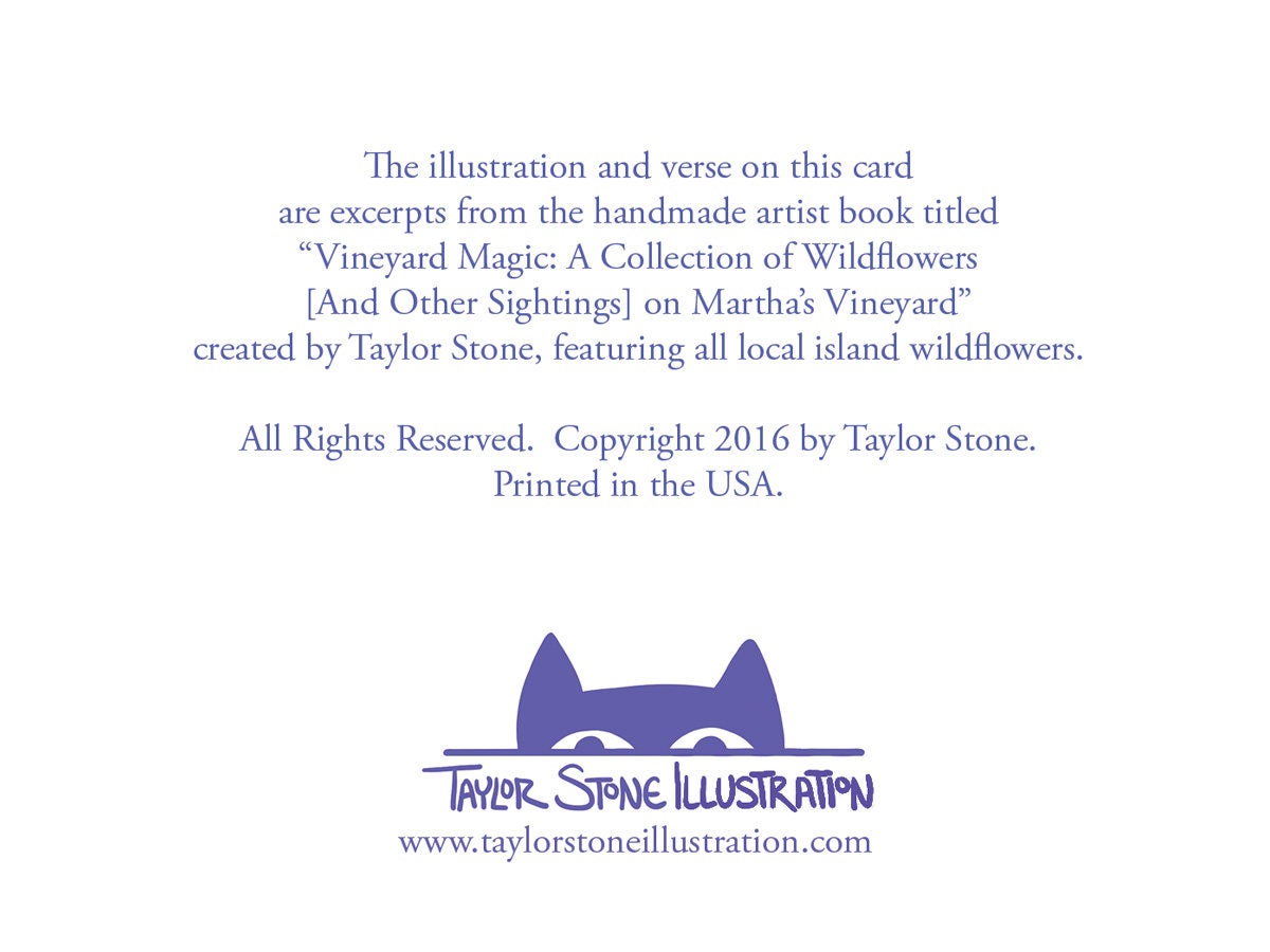 Back side of greeting card includes information about the collection and the artist; Taylor Stone Illustration.