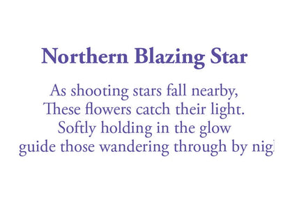 The poem in this card reads: As shooting stars fall nearby, These flowers catch their light. Softly holding in the glow guide those wandering though by night.