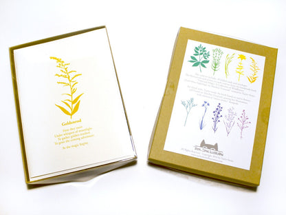 Set of ten blank greeting cards featuring cut paper illustrations of various Martha's Vineyard wildflowers accompanied by a short poem on each.