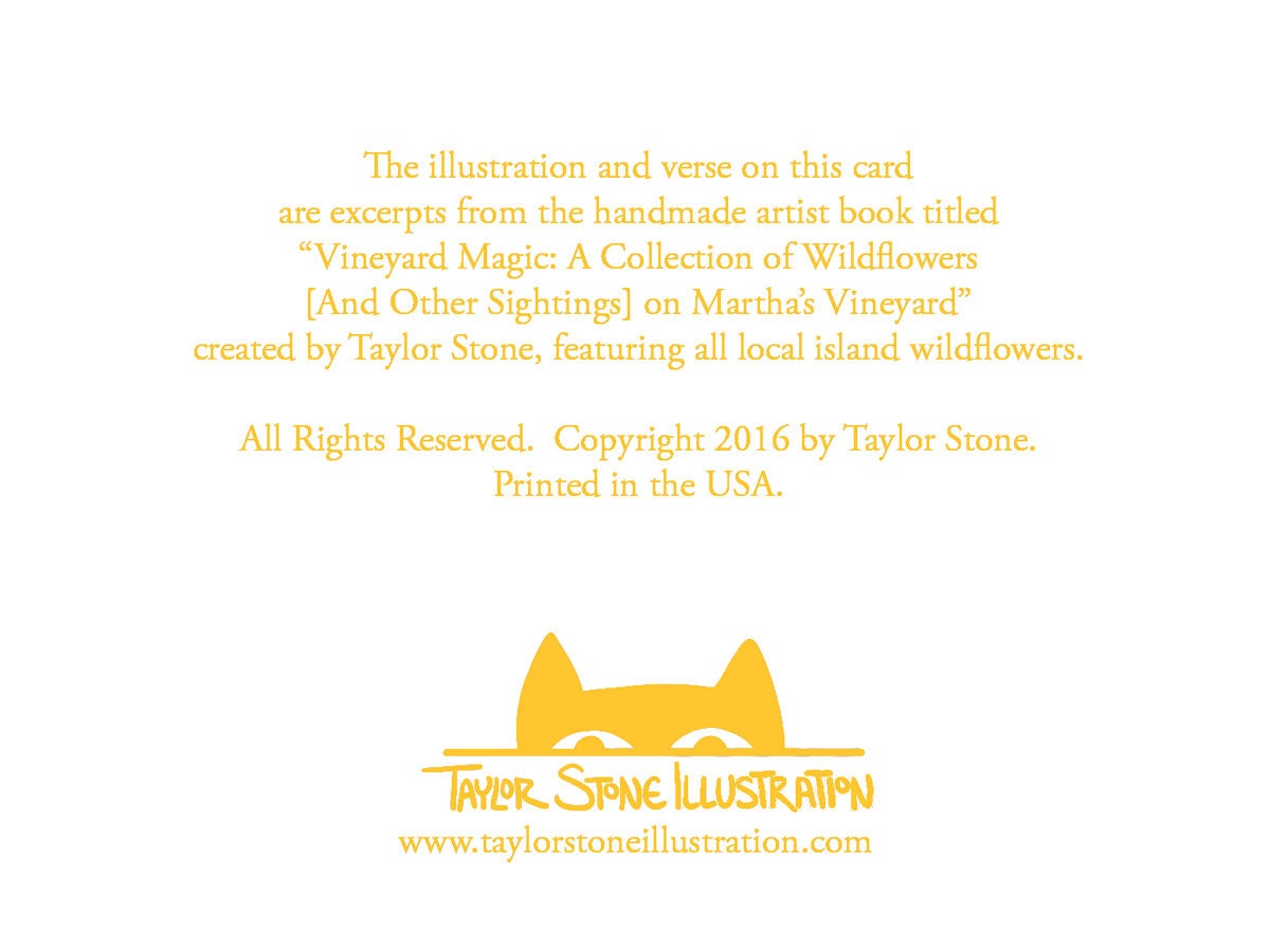 Back side of greeting card includes information about the collection and the artist; Taylor Stone Illustration.