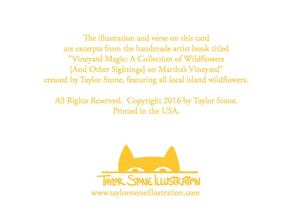 Back side of greeting card includes information about the collection and the artist; Taylor Stone Illustration.