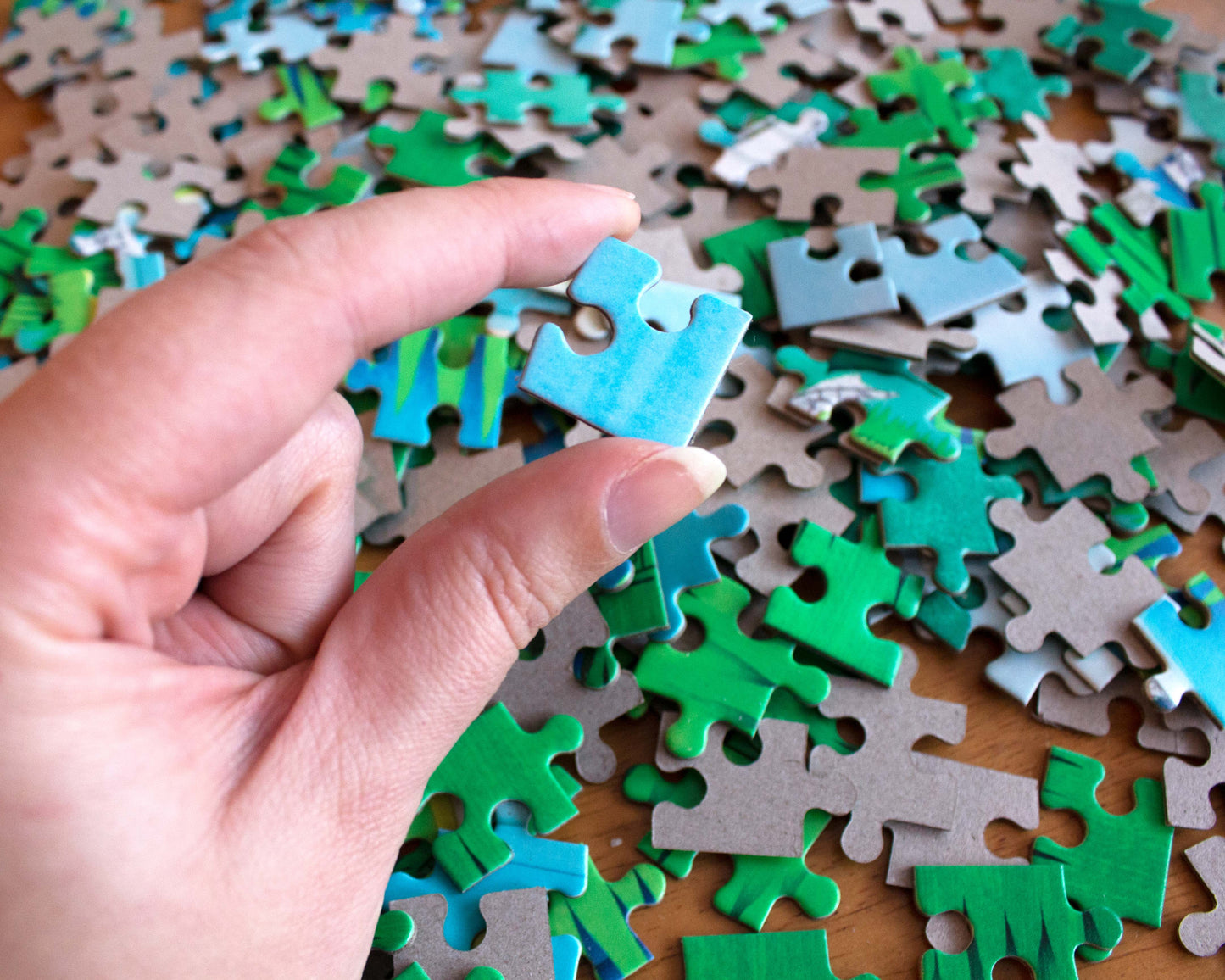 Image showing scale of jigsaw puzzle pieces (about 1x1")