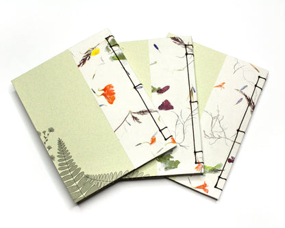 Vineyard Magic: A Collection of Wildflowers [and Other Sightings] on Martha's Vineyard