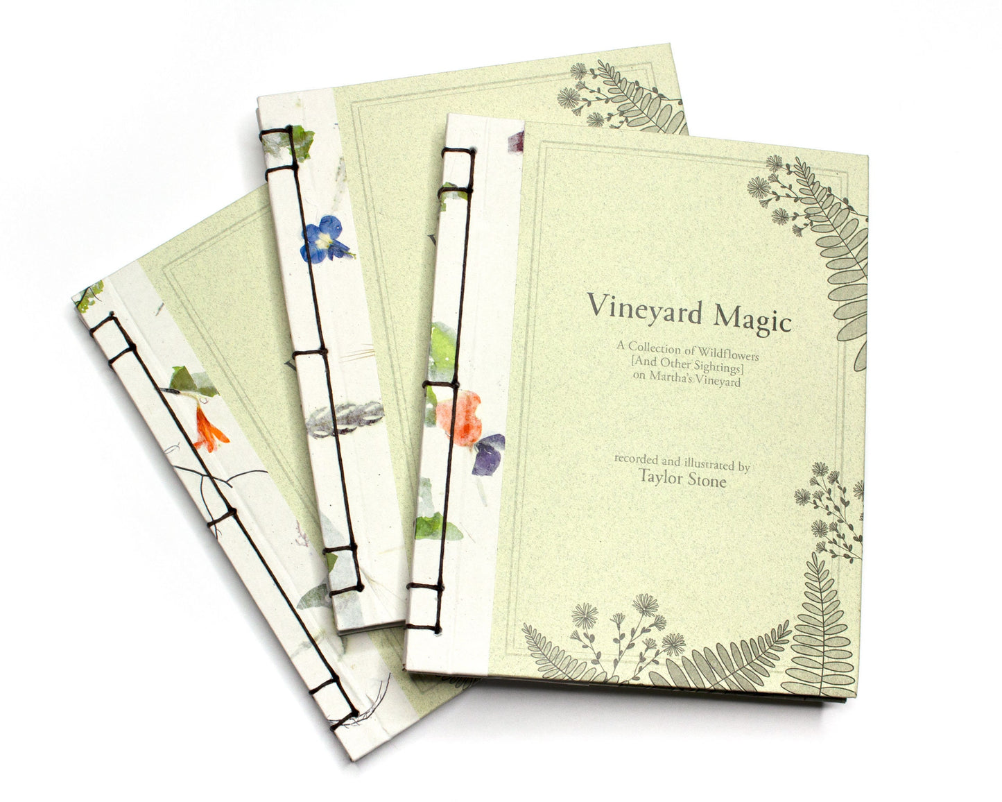 Vineyard Magic: A Collection of Wildflowers [and Other Sightings] on Martha's Vineyard