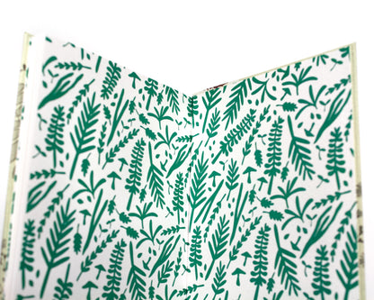 Vineyard Magic: A Collection of Wildflowers [and Other Sightings] on Martha's Vineyard